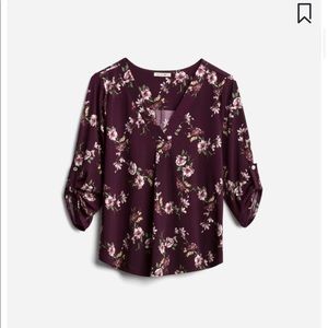 Beacon - Patty Roll Tab Knit Top